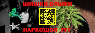 СК Новозыбков