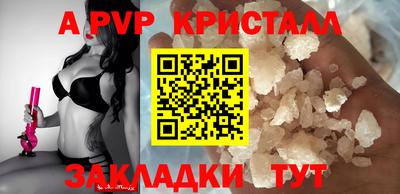 СК Новозыбков