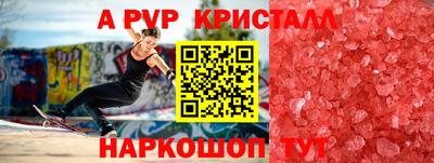 СК Новозыбков
