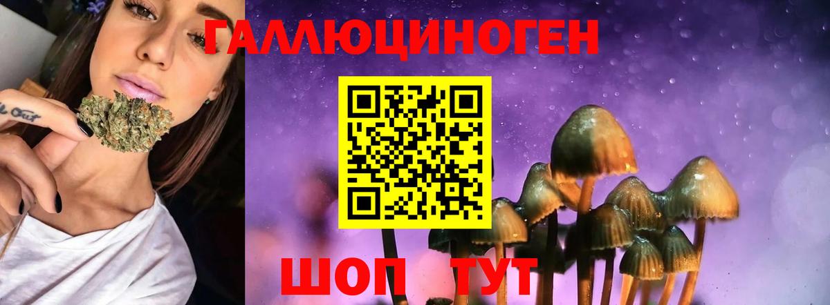 Псилоцибиновые грибы прущие грибы Соликамск