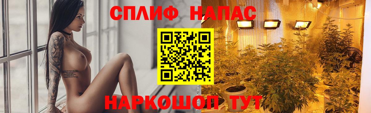 Канабис планчик  Бошки Шишки THC 21%  Вход с VPN  Соликамск  Каннабис сатива  Конопля гибрид 